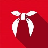 Студенческий педагогический отряд