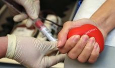 Чебоксарские доноры присоединились к роуд-шоу «МузАртерия»